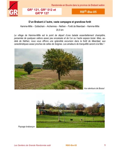D’un Brabant à l’autre, vaste campagne et grandiose forêt - (RB Brabant Wallon)